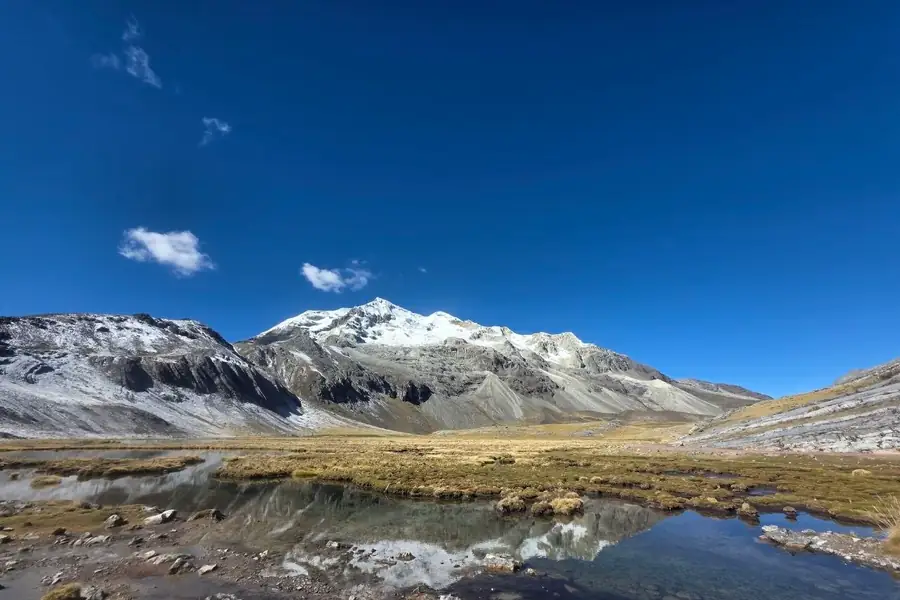 High-Andean wetland and snow-covered cordillera