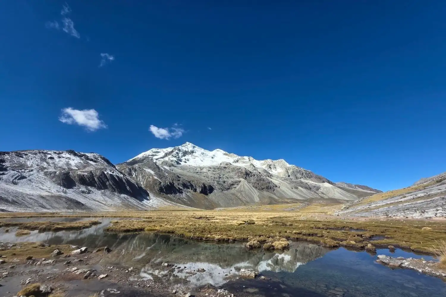 Bofedal altoandino y cordillera nevada bajo cielo azul intenso
